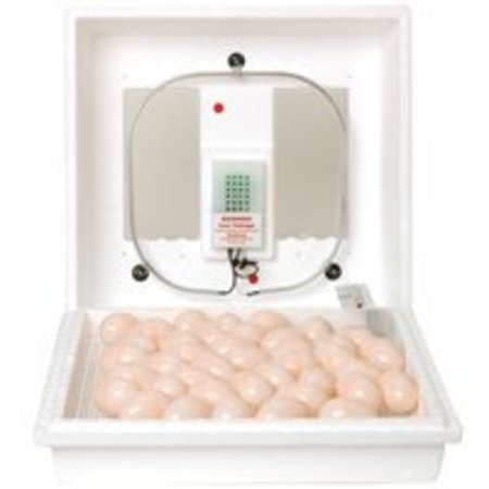 Little Giant Little Giant 9300 Egg Incubator, 110 V, Styrofoam 9300